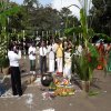 Thaipongal Festival_16.01.2019